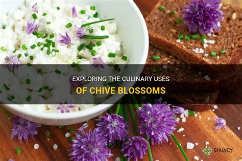 Can You Eat Chive Flowers? Exploring the Culinary and Nutritional Aspects of This Unique Ingredient