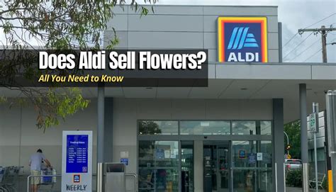 Does Aldi Have Flowers? Exploring the Floral Aisles of a Budget Supermarket