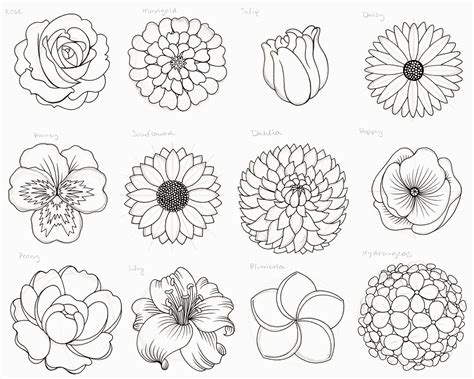 Easy How to Draw Flowers: A Blooming Guide to Artistic Expression