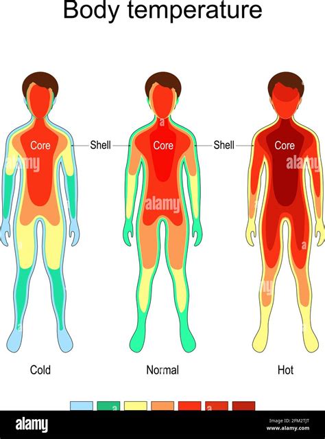 熱 仕事休む 連絡 ～体調管理と仕事のバランスを考える～