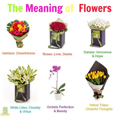 give someone their flowers meaning: a bouquet of thoughts on appreciation and beyond