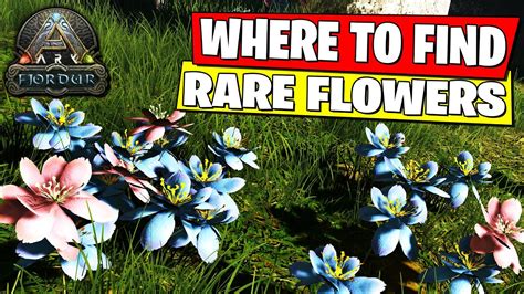 How to Get Rare Flowers Ark: Unlocking the Secrets of Floral Rarity in the Wild