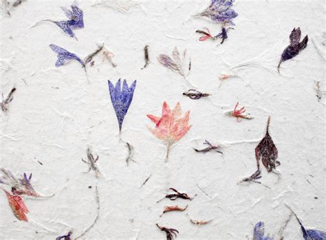 How to Glue Dried Flowers to Paper: A Journey Through Time and Texture