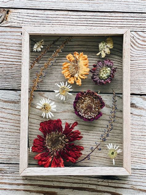 How to Put Dried Flowers in a Frame: A Journey Through Time and Texture