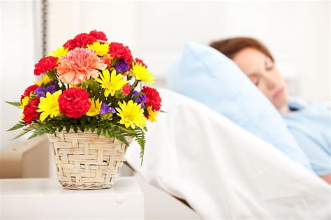 How to Send Flowers to Hospital: A Symphony of Petals and Protocols