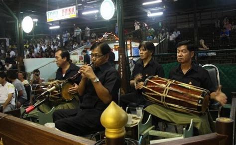 Quinn's Bangkok Beatdown: A Spicy Blend of Pop Music and Muay Thai Fury!