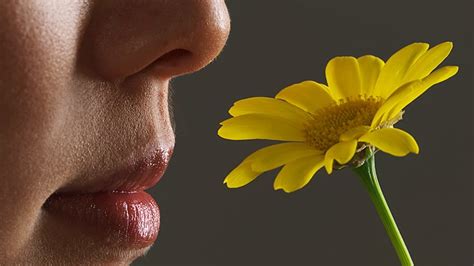 Smelling Flowers Meaning: A Fragrant Journey Through Symbolism and Sensation