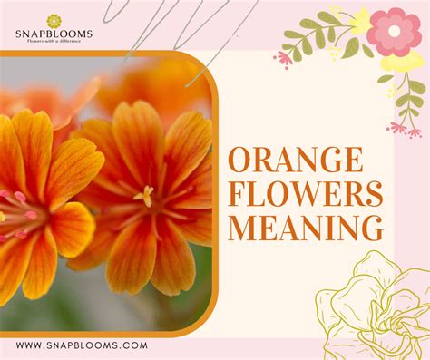 What do orange flowers mean, and how do they intertwine with the mysteries of the universe?