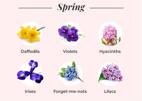 What Flowers Are in Season in April: A Kaleidoscope of Blooms and the Peculiarities of Time