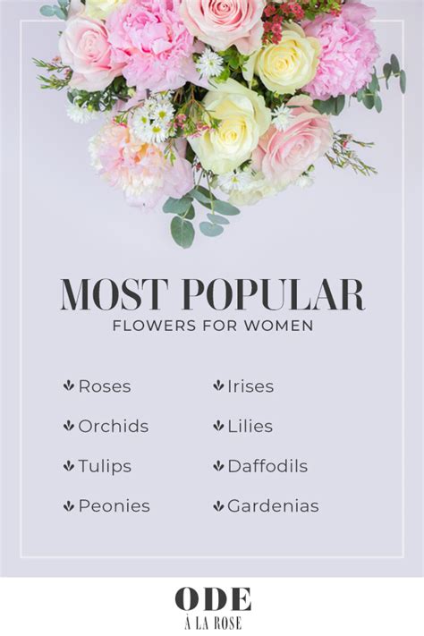 What Flowers Do Girls Like: A Whimsical Exploration of Floral Preferences and Beyond