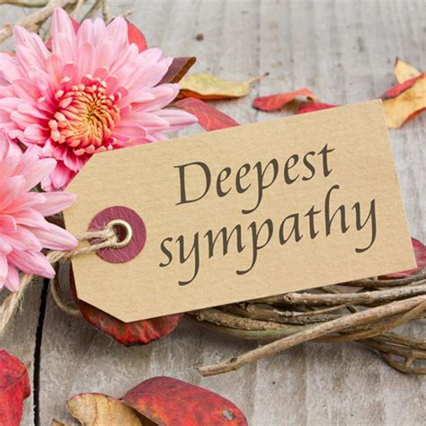 What to Put on Card for Funeral Flowers: A Heartfelt Guide to Expressing Sympathy